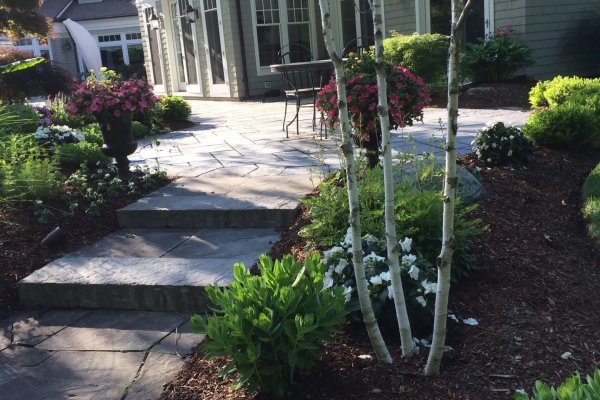 Back patio and landscape